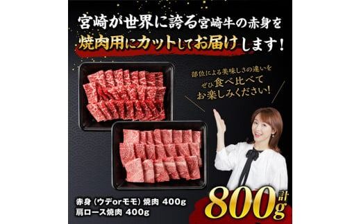 ※発送時期が選べる※宮崎牛赤身霜降り焼肉2種 800g 【 肉 牛肉 国産 宮崎県産 宮崎牛 黒毛和牛 和牛 焼肉 BBQ 4等級  A4ランク 肩ロース ウデ モモ 】 [E11124]