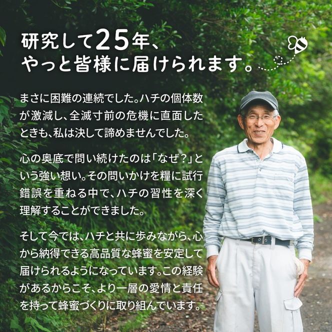 兵頭さん家の国産はちみつ 1瓶（240g 180cc） ｜ 国産 百花蜜 蜂蜜 ハチミツ 深山ミツバチ 研究25年 日本ミツバチ ※離島への配送不可
