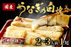 うなぎの白焼き2~3人前(1尾)　ウナギ 鰻 白焼 しらやき タレ 国産 丑の日 ふるさと納税 うなぎ ふるさと納税 鰻 ふるさと納税 惣菜 京都 AN00094