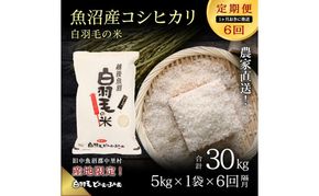 【通年受付】≪令和8年産≫【定期便／1ヶ月おき全6回】農家直送！魚沼産コシヒカリ「白羽毛の米」精米(5kg×1袋)×6回 30kg お米 白米 ご飯