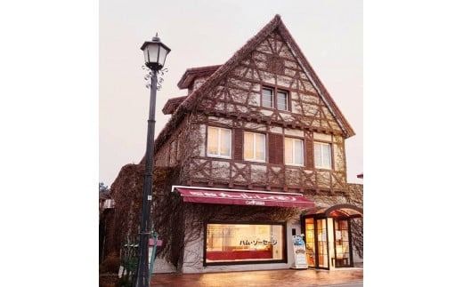 【函館カール・レイモン　ミニサラミ10個セット_HD052-011】 函館 カールレイモン ミニサラミ 30g 10個セット サラミ さらみ ギフト ソーセージ チョリソー 個包装 国産 北海道 ポーク あらびき 粗挽き ウィンナー 食品 豚肉 牛肉 肉 ドイツ はこだて 日本ハム ニッポンハム 簡単調理 おつまみ つまみ 送料無料 7686847