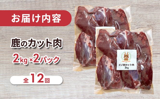 定期便 12ヵ月 ペット用 鹿 カット肉 合計4kg (2kg×2パック) ペットフード エゾシカ肉 鹿肉 ヒューマングレード 全12回 冷凍 冷凍配送 北海道
