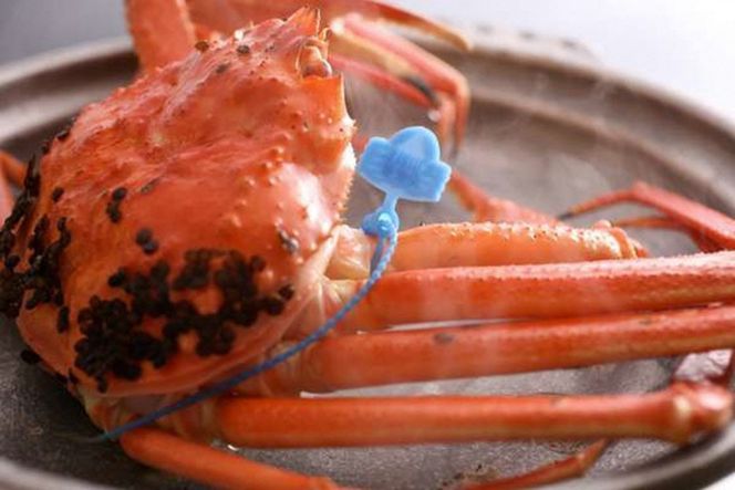 【訳あり！！タグ付きブランド】茹で松葉かに 鮮度抜群、釜茹でにてお届け！！ 1kg級（足1本落ち）×1杯　YK00504