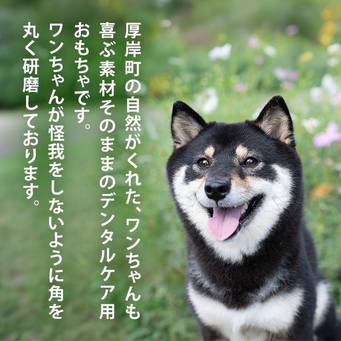 厚岸町産 わんちゃん用 エゾ鹿の角 半割1本 20cm 中型～大型犬用 【deer food】[犬 おもちゃ 犬用ガム ペット用品 鹿角 長持ち デンタルケア ペット ] 