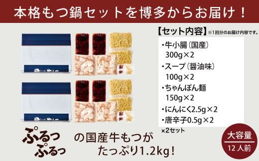 【定期便】やまや　博多もつ鍋セット　牛もつたっぷり1.2kg！12人前（全6回）　EY013