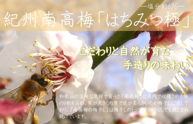 【定期便・3ヵ月毎 全3回】紀州南高梅 はちみつ極 850g ［YM10］ 303446_DX90026