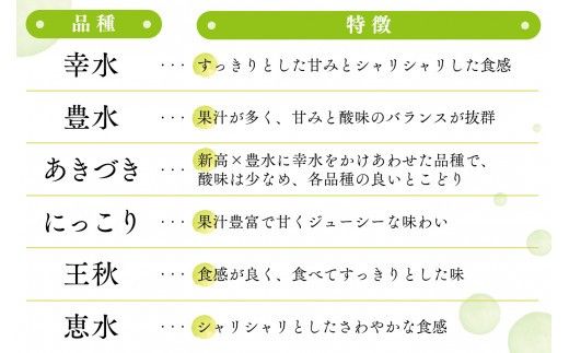 【 JA 北つくば 】 筑西ブランド 認証品 幸水 5kg 果物 2026年産 先行予約 梨 フルーツ なし ナシ 幸水梨 くだもの デザート 茨城 [AE008ci]