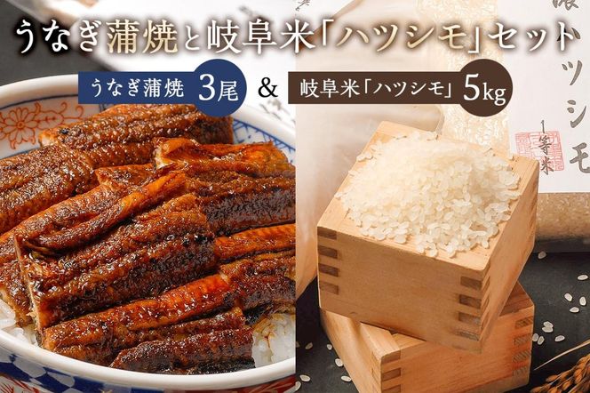 炭かおる地焼き うなぎ蒲焼（たれ付）3尾」と「岐阜米ハツシモ1等米5ｋｇ」のセット【0021-014】（岐阜県可児市） |  ふるさと納税サイト「ふるさとプレミアム」