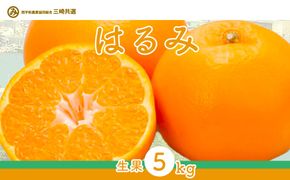 【先行予約】【数量限定】はるみ（生果5kg）※離島への配送不可（2026年1月下旬より順次発送予定） IKTBD009