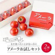 アメーラ トマト ミニトマト 5パック セット アメーラルビンズ 高糖度 7.5以上 化粧箱入り 産地 直送 新鮮 旬の 野菜 高級 フルーツトマト 甘い 静岡県 藤枝市 ふるさと人気