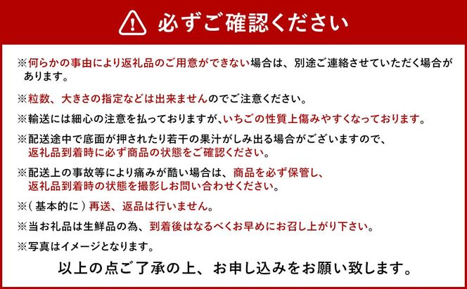 今季初採れあまおう2パック 約500-540g 【数量限定】  いちご 苺 あまおう 果物 くだもの フルーツ 肉厚 ジューシー 初採れ 福岡県産 【2024年12月上旬～2025年1月下旬発送予定】