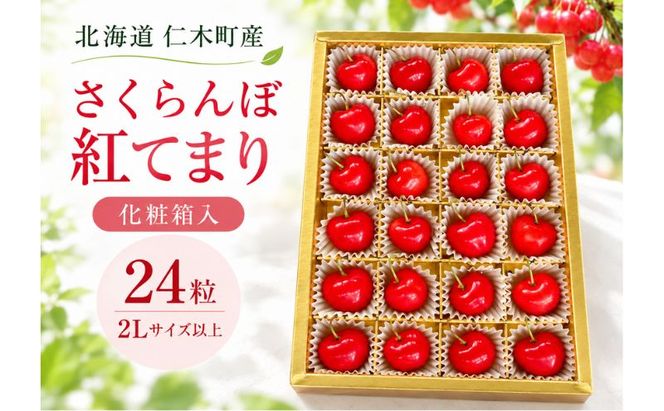 さくらんぼ 2027年発送 北海道 仁木町産 さくらんぼ【 紅てまり 】化粧箱入 24粒 2Lサイズ以上 食後 デザート 旬の果物 サクランボ チェリー フルーツ 果物 果物類 ギフト 仁木町 仁木 [峠のふもと紅果園]