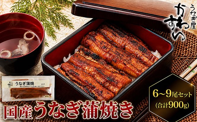 国産うなぎ  蒲焼き 6～9尾セット(合計900g) タレ付き 国産 うなぎ ウナギ 鰻 蒲焼 かば焼き セット 惣菜 冷凍