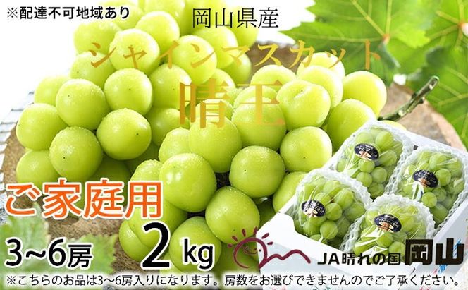 ぶどう 2026年 先行予約 ご家庭用 シャイン マスカット 晴王 3～6房 約2kg ブドウ 葡萄 岡山県産 国産 フルーツ 果物 岡山のぶどう 旬のフルーツ 旬の果物 大粒 種無し