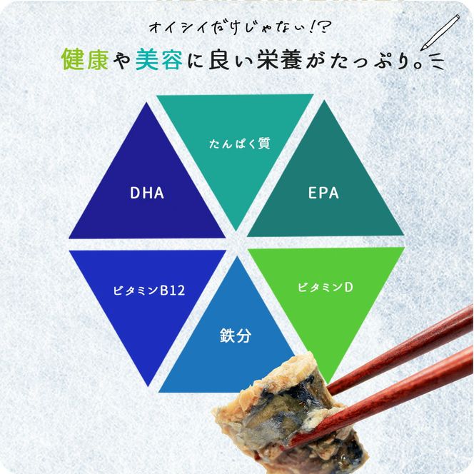 【全3回】大容量！ ご家庭用 塩さばフィレをたっぷりお届け定期便 / さば サバ 鯖 フィレ 切り身 切身 魚 海鮮 焼き魚 おかず 定期便【tkb354】