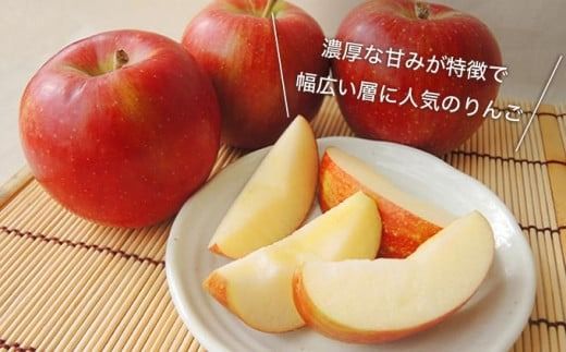 【訳あり】 シナノスイート 約3kg 6～12玉 ［おぶせファーマーズ］ 不揃い 規格外 家庭用 果物 フルーツ りんご 林檎 リンゴ 果物 フルーツ 長野県産 信州産 令和7年産 【2025年10月中旬〜11月上旬発送】 ［FH-54］