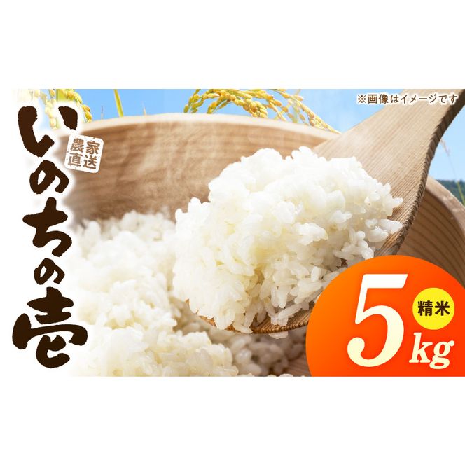 R7年産　「いのちの壱」（5kg）＜農家直送＞ ［208K09］ 希少米 5kg 米 精米 白米 ご飯 国産 産地直送 甘い 粘り強い もちもち お取り寄せ こだわり米 愛知県 小牧市 送料無料