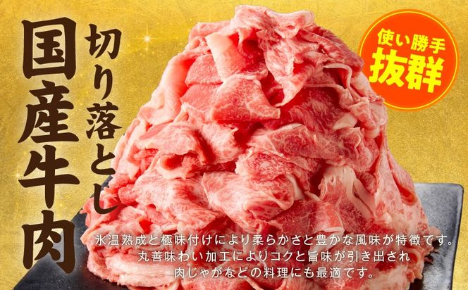 mrzZ078 【定期便】国産牛 切り落とし 1.2kg×全2回【氷温熟成×極味付け 小分け 300g×4P 国産 牛肉 訳あり サイズ不揃い カレー 牛丼 家計応援 2026年3月＆6月発送】