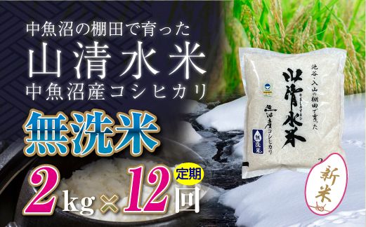 【令和8年産 新米】 【定期便／全12回】無洗米2kg　新潟県魚沼産コシヒカリ「山清水米」十日町市 米