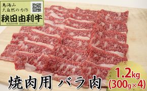 秋田由利牛 焼肉用 バラ肉 1.2kg（300g×4パック 焼き肉） バラ(カルビ) お肉 牛肉 バーベキュー 