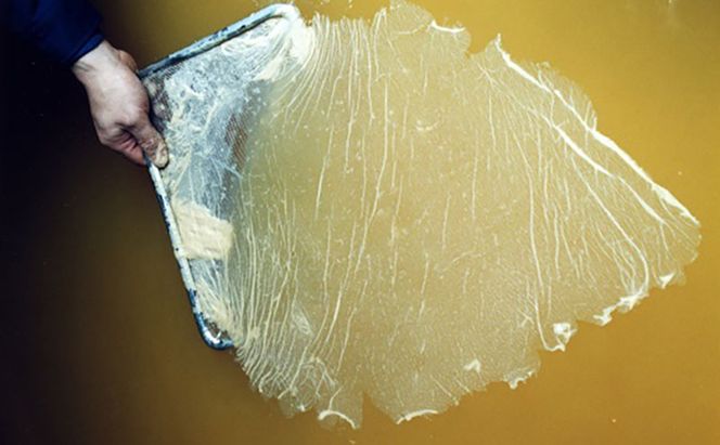 【毎日の健康管理に】身体に良い！飲む「にごり酢×玄米黒酢」セット