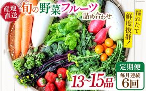 【6回定期便】毎月連続　「旬の野菜・フルーツ」 詰め合わせ セット（13品〜15品）/ 野菜 定期便 やさい 定期便 野菜セット やさいセット 春野菜 夏野菜 秋野菜 冬野菜 旬新鮮 / 南島原市 /長崎県農産品流通合同会社[SCB091]