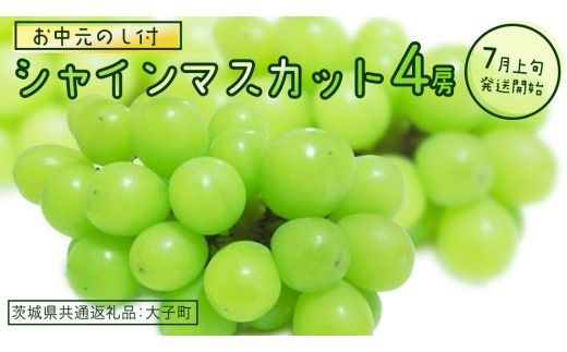 【 お中元 熨斗付き】 シャインマスカット ４房 【2026年7月上旬発送開始】(茨城県共通返礼品：大子町) ぶどう 葡萄 ブドウ マスカット フルーツ 果物 贈答用 ギフト 贈り物