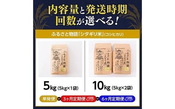 ※選べる内容量・発送時期・発送回数※【令和8年産】宮崎県産こしひかり「シタギリ米」5kg /10kg【 米 お米 白米 精米 国産 宮崎県産 こしひかり おにぎり 定期便 】ⅡⅧ [B04201 B04201t3 B04201t6 B04202 B04202t3 B04202t6]