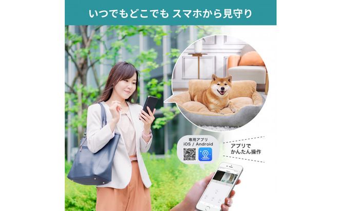 屋内用カメラ　TBC-IP300 272183_AZ176