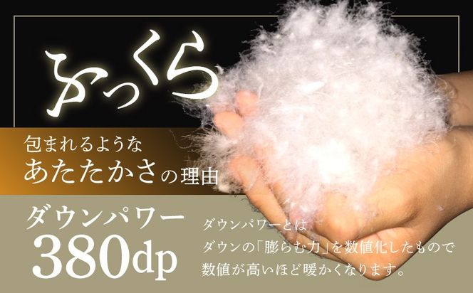099H3101羽毛布団 2枚 ポーランド産グース贅沢仕様 シングル 150cm×210cm アイボリー【国産 羽毛 ふとん 寝具 掛け布団 羽毛ふとん】