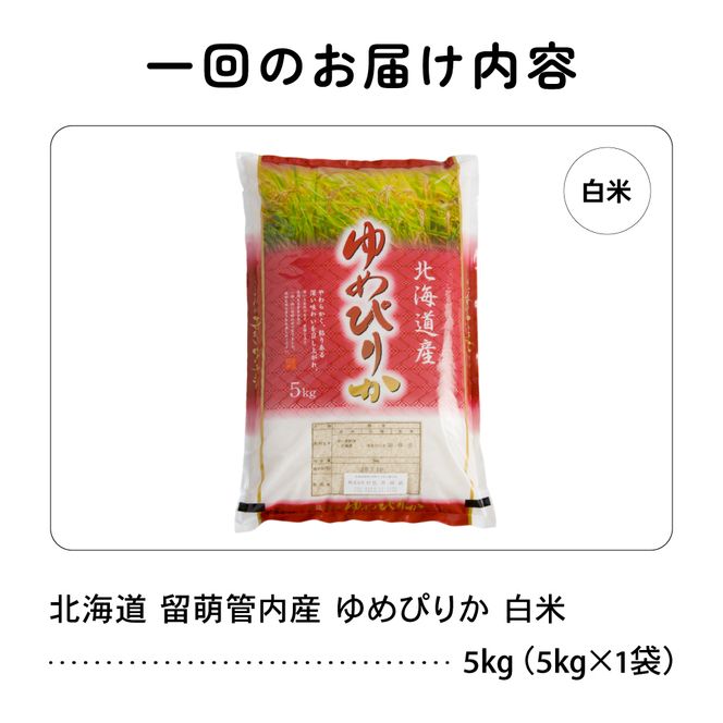 【新米予約】【12ヵ月定期便】令和8年産 ゆめぴりか 5kg 北海道 留萌管内産 R004-216