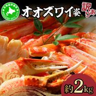オオズワイ姿（訳あり品）2kg｜かに カニ ズワイガニ オオズワイ【ysk-008】