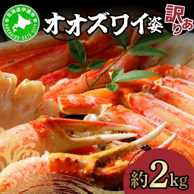 オオズワイ姿（訳あり品）2kg｜かに カニ ズワイガニ オオズワイ【ysk-008】