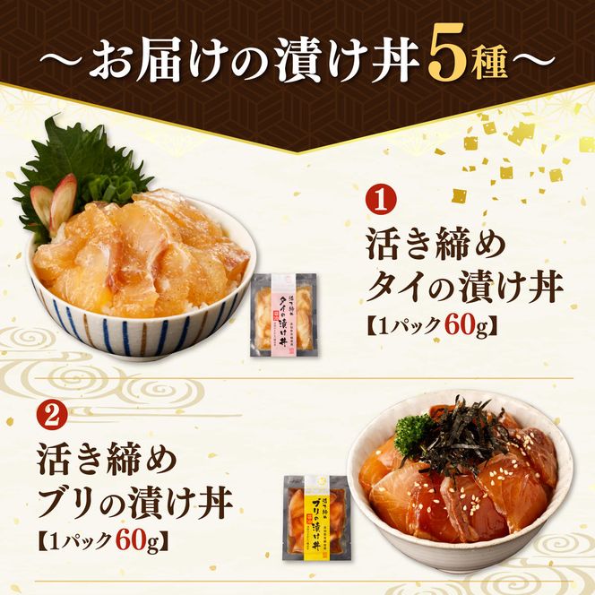 訳あり 海鮮漬け丼 （5種×各4P） セット マグロ 鯛 イカ ブリ 鰹のたたき 漬け丼 海鮮丼 漬け づけ丼 国産 食べくらべ 漬け丼の素 海鮮丼の具 海鮮セット まぐろ【企業組合　宇佐もん工房】 [BQAB003]