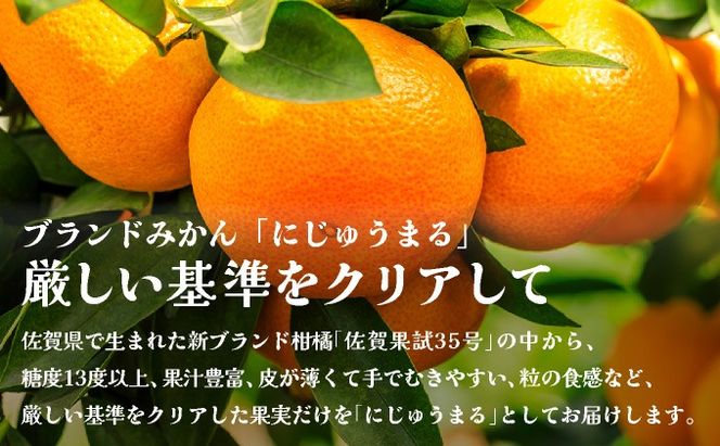 にじゅうまる 約5kg バラ入りお徳用 E-294-RN