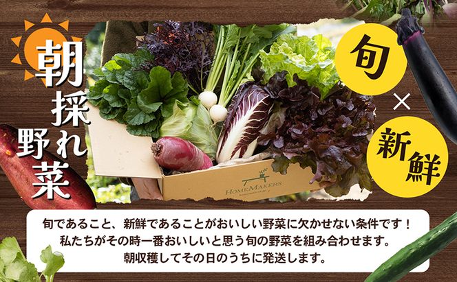 【 小豆島 】 瀬戸内 小豆島そだちの旬野菜 セット 農家直送 野菜 やさい 旬 旬野菜 新鮮 詰め合わせ 直送 国産 小豆島産 香川 香川県 土庄 土庄町
