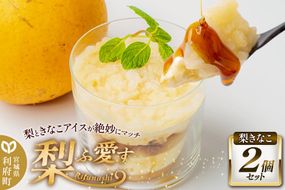 梨ふ愛す 梨きなこ 236g×2個セット ラクトアイス|06_ccp-060201