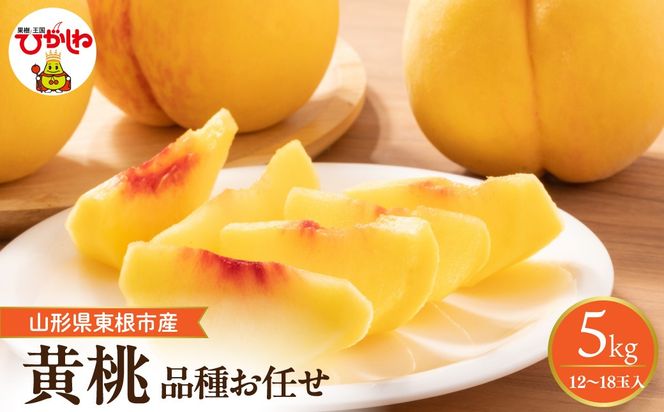 【2026年産】　採れたて黄桃(品種お任せ) 約5kg (12～18玉)晴天畑提供 山形県 東根市 hi026-058