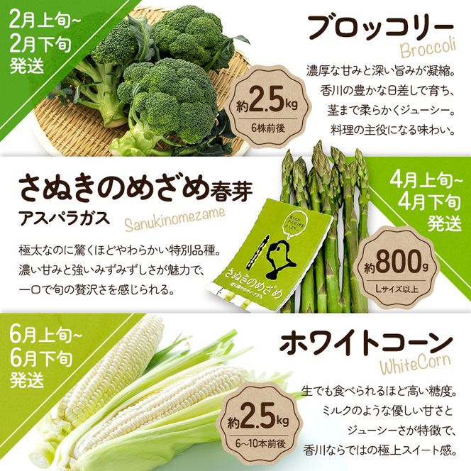 旬のさぬきの野菜定期便（6回）　野菜 定期便 旬 新鮮 食べごろ 季節 ブロッコリー アスパラ ホワイトコーン オクラ ミニトマト 香川県 東かがわ市
