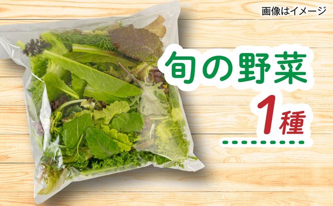糸島産 魚 米 野菜 果物 厳選詰め合わせ MINORI BOX Sサイズ 糸島市 / emma.Inc / 米 魚 野菜 詰め合わせ[AOP019]
