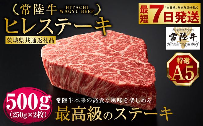 【常陸牛特選A5】ヒレステーキ250g×2枚（茨城県共通返礼品） | 計500g 牛肉 肉 お肉 ヒレ ステーキ 冷凍 茨城県 守谷市