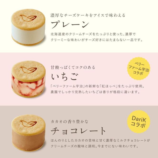 【ソラアオ】アイスチーズケーキサンド 2箱セット 12個入り | 京都 チーズケーキ専門店 アイス  人気セット［ 京都  チーズケーキ専門店 スイーツ アイス アイスサンド 人気 おすすめ 洋菓子 お取り寄せ 通販 送料無料 ふるさと納税 ］ 261009_B-QW11