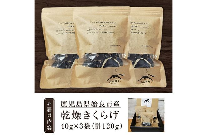 a769 国産乾燥きくらげ計120g(40g×3袋)【姶良のアグリM～】国産 きのこ キノコ 茸 野菜キクラゲ きくらげ 木耳 乾燥 天日干し 小分け 常温保存 セット 化粧箱 ギフト箱