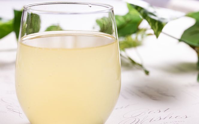 物部のゆずドリンク（5倍希釈）3本(500ml×3本) - 国産 果実 飲料 柚子 柑橘 ジュース 飲み物 フルーツジュース 果物 果実 ドリンク あぐりーど 高知県 香南市 常温 ad-0006