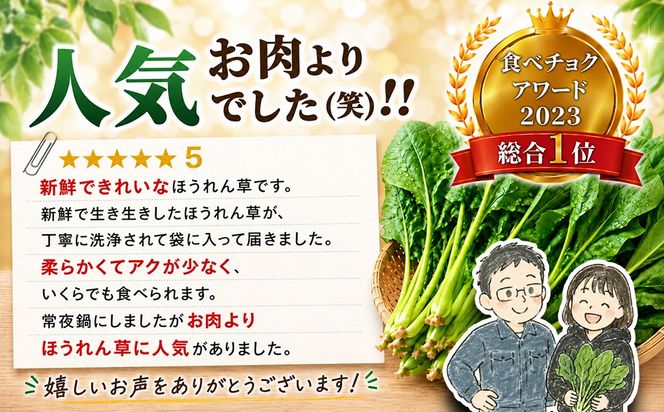 ほうれん草 1kg バラ詰め(大きな袋に1kg)【ハウス栽培 産地直送 クール便 佐賀県脊振山麓産 ほうれん草 ホウレンソウ 野菜 葉物 こだわり野菜 冷蔵 子供 成長 離乳食】(H091116)