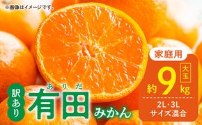 DZ6217_【2026年先行予約】ご家庭用 有田みかん 大玉(2L,3Lサイズ混合) 約9kg