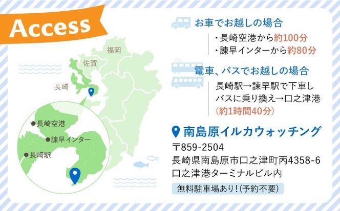 南島原 イルカウォッチング 子ども用 1人用 チケット / イルカ 観光 南島原市 / 南島原イルカウォッチング[SAE003]