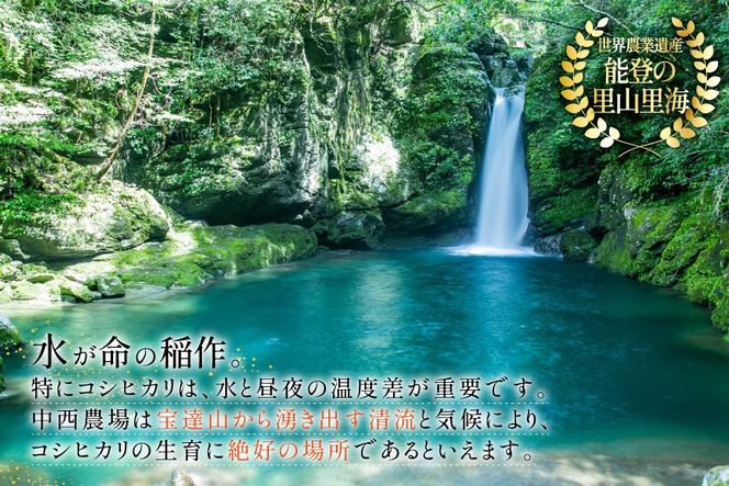 米 定期便 ひゃくまん穀「弘宝米」 精米 10kg ×2袋 ×3回 総計 60kg [中西農場 石川県 宝達志水町 38601374] お米 白米 ひゃくまん穀 美味しい 農家 直送 3ヶ月 60キロ 20キロ 石川 能登