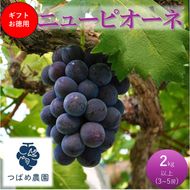 2026年 早期受付 ぶどう ギフトお徳用ニューピオーネ 2kg以上(3～5房) 数量限定　岡山県 高梁市産