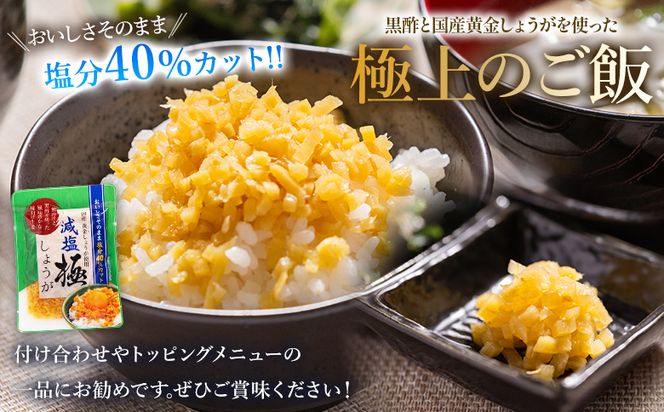 しょうが 減塩 味付け 極しょうが 110g×4袋 計440g 【7日程度で発送】 生姜 ジンジャー ご飯のお供 おかず トッピング アレンジ 料理 手軽 便利 刻み生姜 国産 特産品 しょうが ショウガ 高知県産 坂田信夫商店 高知県 香南市 常温 Xnb-0015